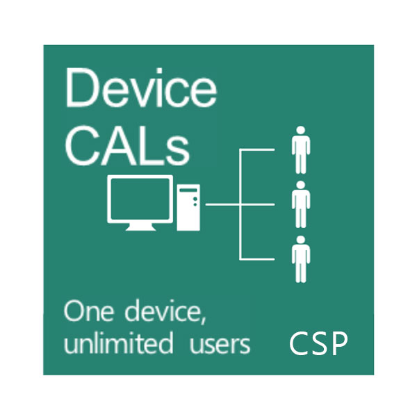 Device-CAL-CSP, Windows Server 2022 CAL 1 Device CAL Commercial