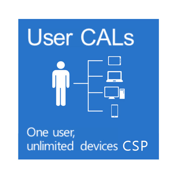 User-CAL-CSP, Windows Server 2022 CAL 1 User CAL Commercial
