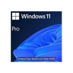 Win-Pro-11-64-bit-All-Lng-PK-Lic-Online-DwnLd-NR-(FQC-10572), WIN Pro 11 64-bit PK Lic Online DwnLd FQC-10572